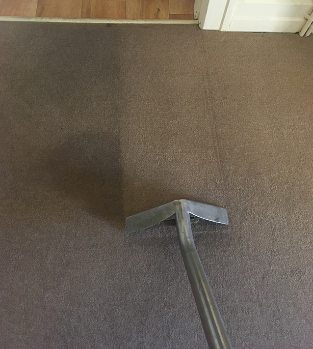 carpet and upholstery cleaners in Newton-le-willows